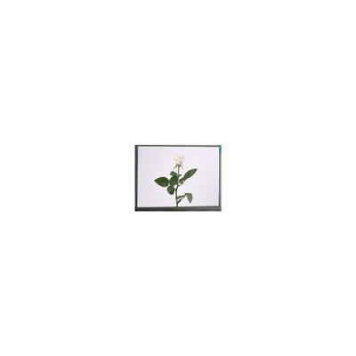 Díol Te M057GWV3 R0 5.7 Orlach 640*480 TFT Tionsclaíoch-Scáileán LCD